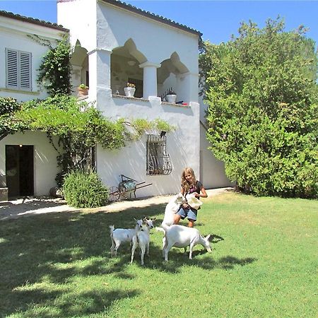 Agriturismo "Borgo Madonna Degli Angeli" - Charming Cottages In The Gardens ! Tocco da Casauria Eksteriør bilde