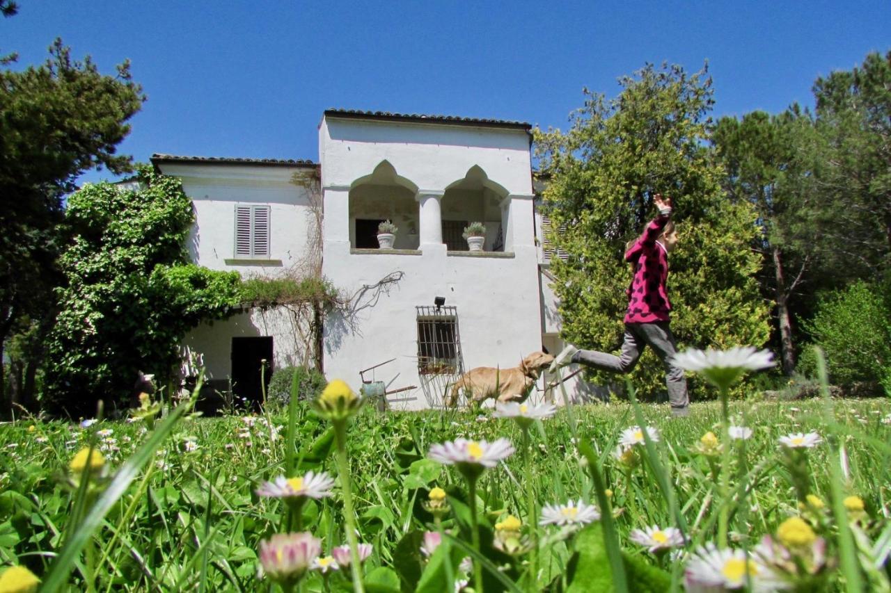Agriturismo "Borgo Madonna Degli Angeli" - Charming Cottages In The Gardens ! Tocco da Casauria Eksteriør bilde