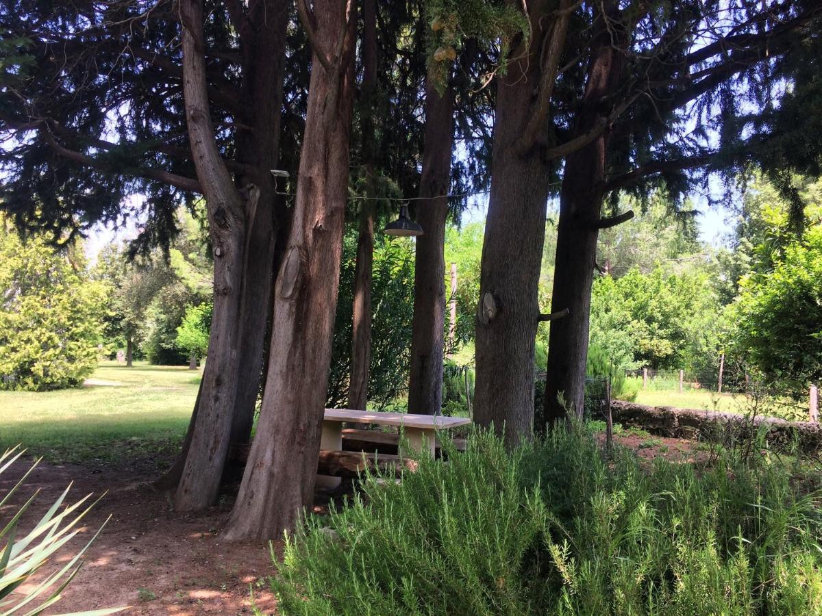 Agriturismo "Borgo Madonna Degli Angeli" - Charming Cottages In The Gardens ! Tocco da Casauria Eksteriør bilde