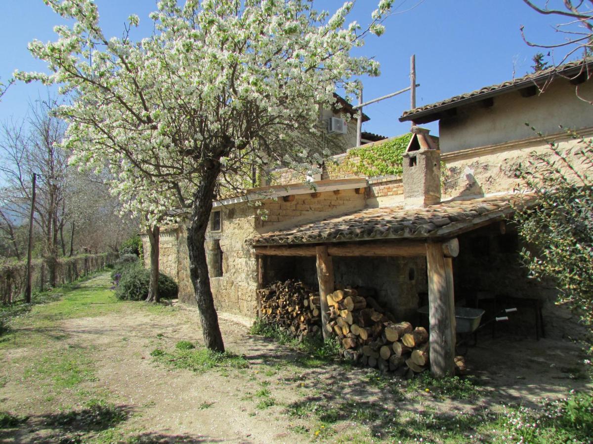 Agriturismo "Borgo Madonna Degli Angeli" - Charming Cottages In The Gardens ! Tocco da Casauria Eksteriør bilde