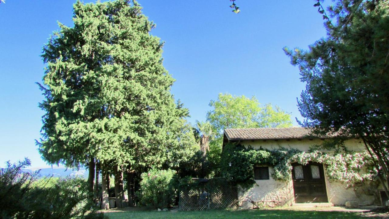 Agriturismo "Borgo Madonna Degli Angeli" - Charming Cottages In The Gardens ! Tocco da Casauria Eksteriør bilde