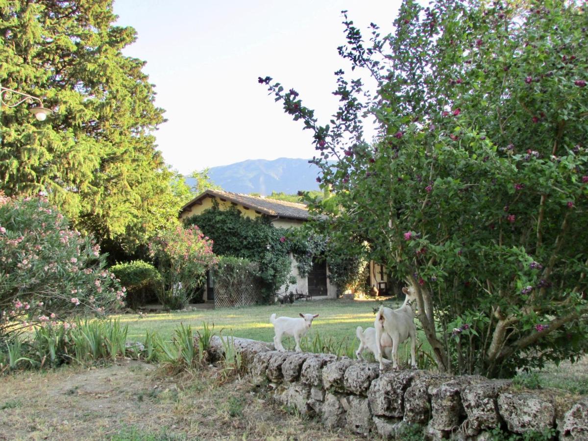 Agriturismo "Borgo Madonna Degli Angeli" - Charming Cottages In The Gardens ! Tocco da Casauria Eksteriør bilde