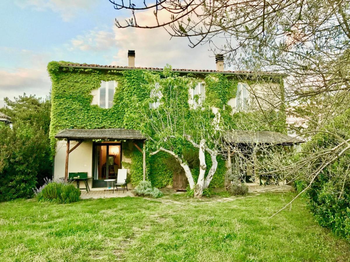 Agriturismo "Borgo Madonna Degli Angeli" - Charming Cottages In The Gardens ! Tocco da Casauria Eksteriør bilde