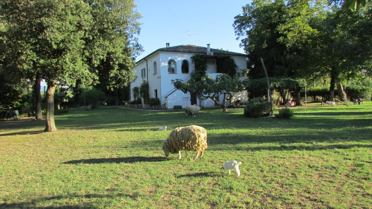 Agriturismo "Borgo Madonna Degli Angeli" - Charming Cottages In The Gardens ! Tocco da Casauria Eksteriør bilde
