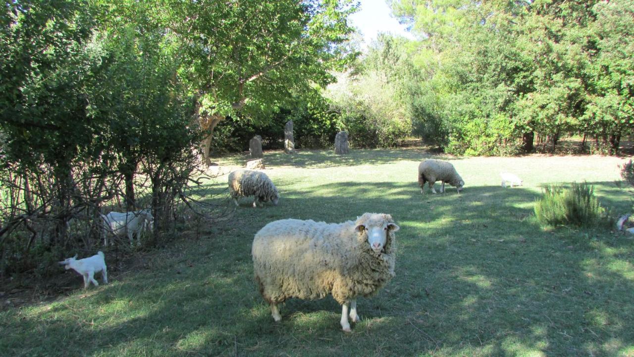 Agriturismo "Borgo Madonna Degli Angeli" - Charming Cottages In The Gardens ! Tocco da Casauria Eksteriør bilde