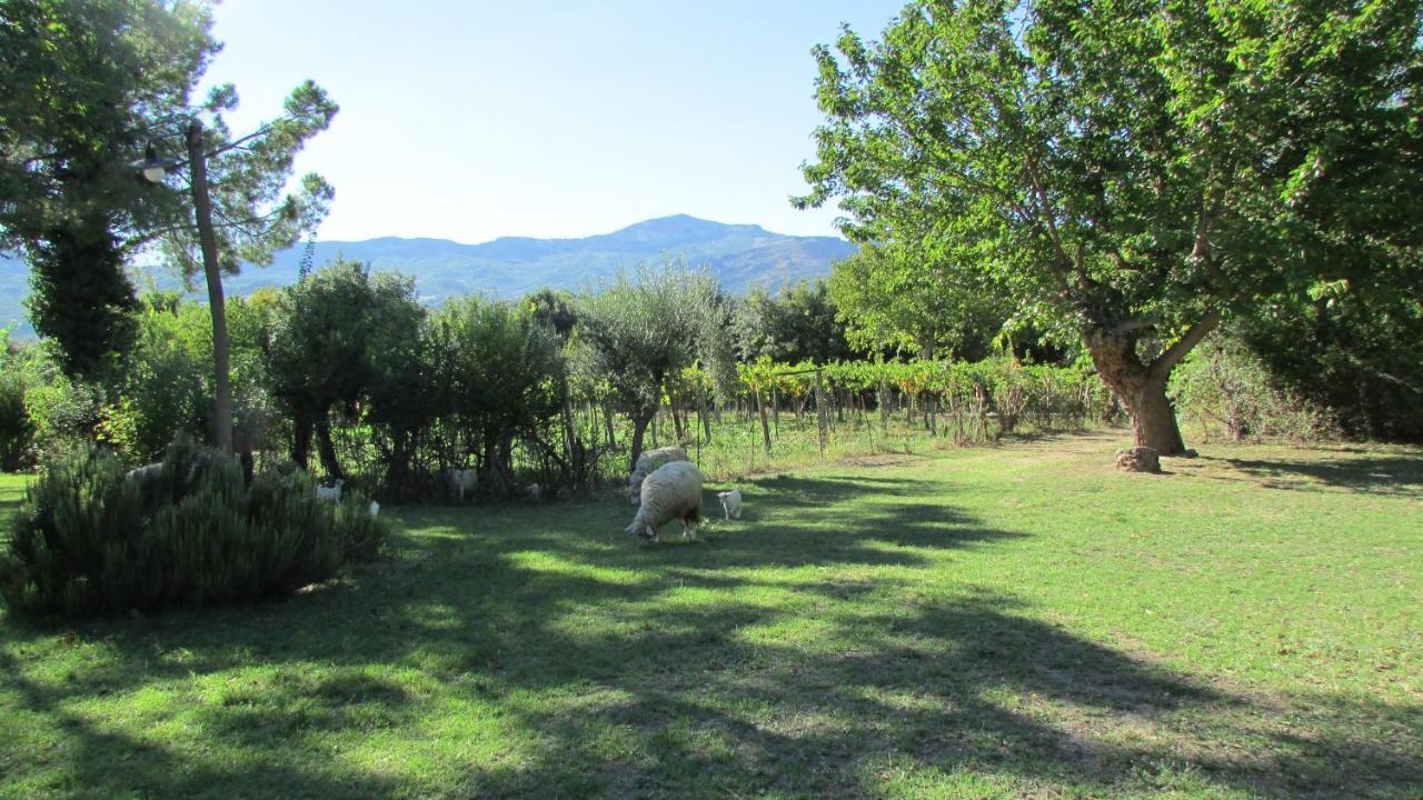 Agriturismo "Borgo Madonna Degli Angeli" - Charming Cottages In The Gardens ! Tocco da Casauria Eksteriør bilde