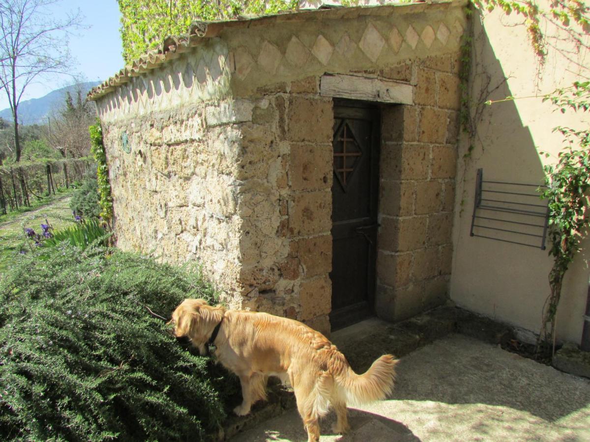 Agriturismo "Borgo Madonna Degli Angeli" - Charming Cottages In The Gardens ! Tocco da Casauria Eksteriør bilde