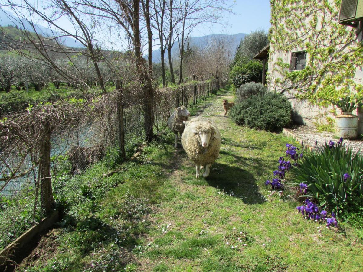 Agriturismo "Borgo Madonna Degli Angeli" - Charming Cottages In The Gardens ! Tocco da Casauria Eksteriør bilde