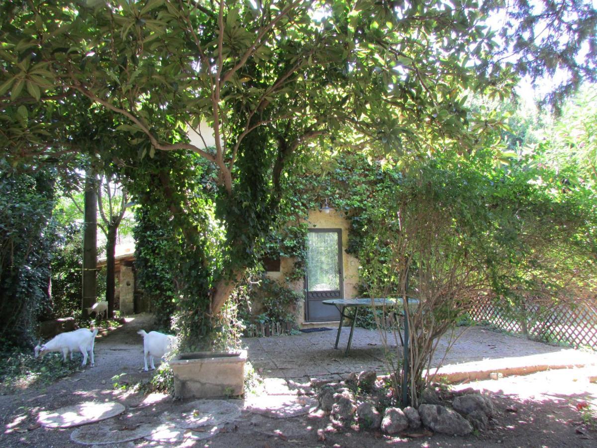 Agriturismo "Borgo Madonna Degli Angeli" - Charming Cottages In The Gardens ! Tocco da Casauria Eksteriør bilde