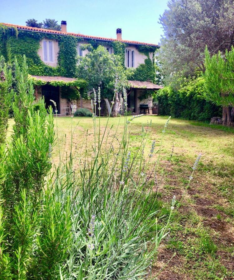 Agriturismo "Borgo Madonna Degli Angeli" - Charming Cottages In The Gardens ! Tocco da Casauria Eksteriør bilde