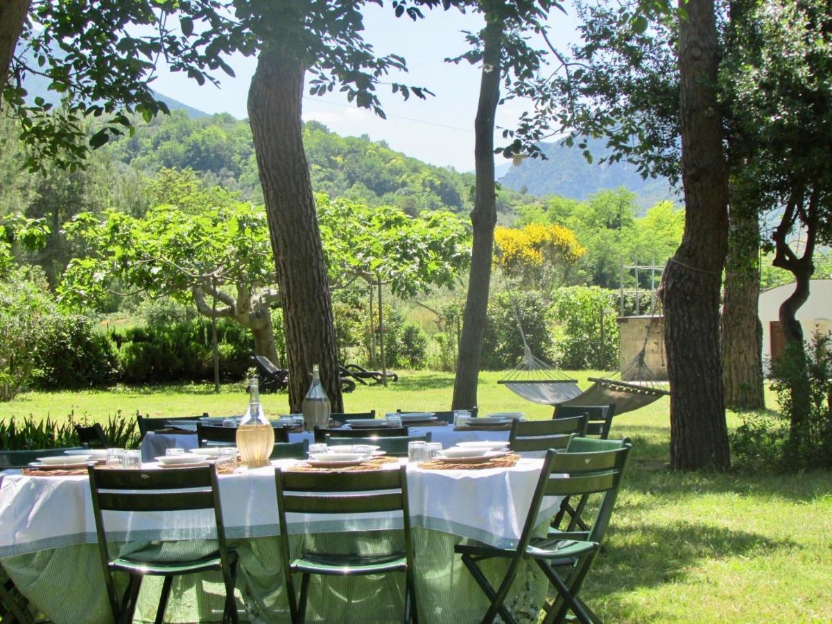 Agriturismo "Borgo Madonna Degli Angeli" - Charming Cottages In The Gardens ! Tocco da Casauria Eksteriør bilde