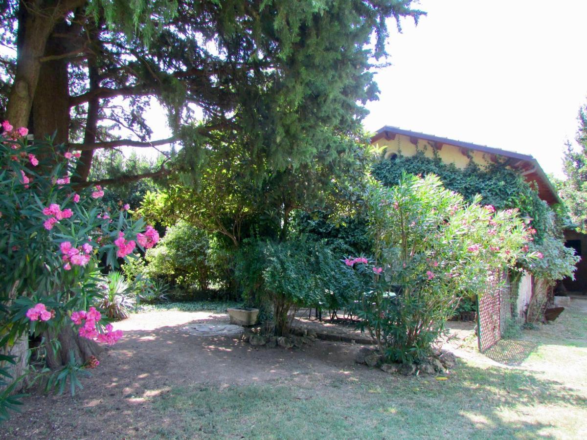 Agriturismo "Borgo Madonna Degli Angeli" - Charming Cottages In The Gardens ! Tocco da Casauria Eksteriør bilde