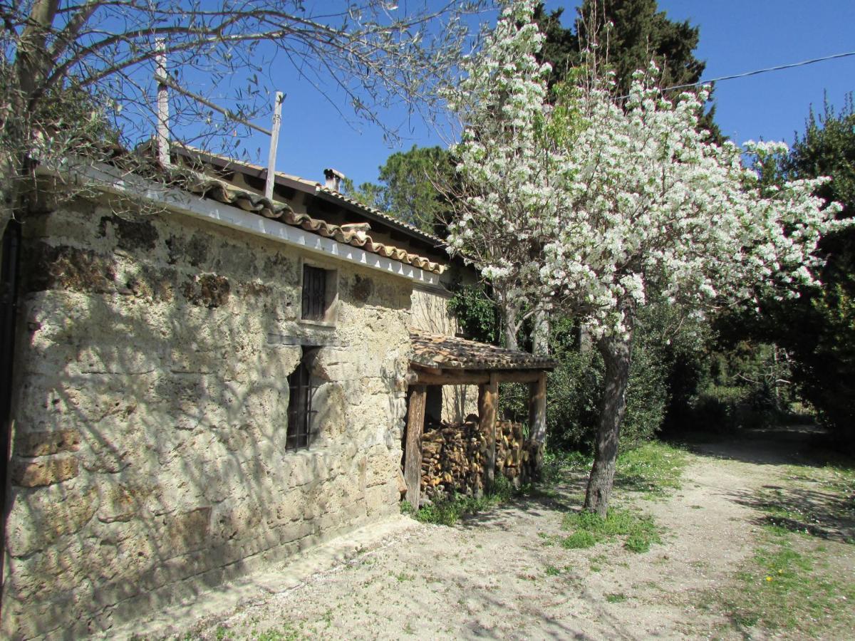 Agriturismo "Borgo Madonna Degli Angeli" - Charming Cottages In The Gardens ! Tocco da Casauria Eksteriør bilde