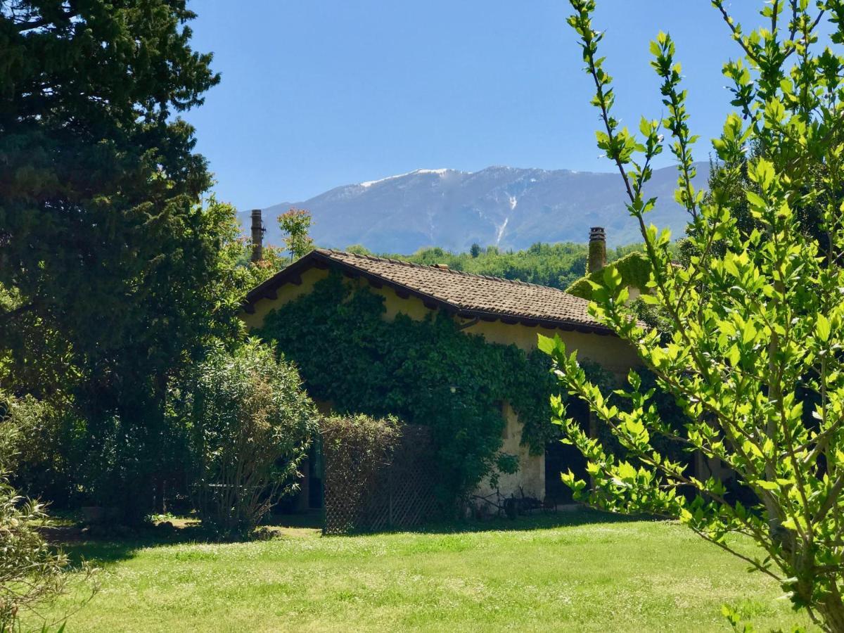Agriturismo "Borgo Madonna Degli Angeli" - Charming Cottages In The Gardens ! Tocco da Casauria Eksteriør bilde