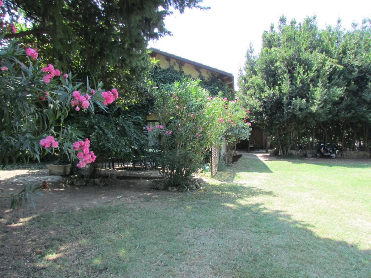 Agriturismo "Borgo Madonna Degli Angeli" - Charming Cottages In The Gardens ! Tocco da Casauria Eksteriør bilde