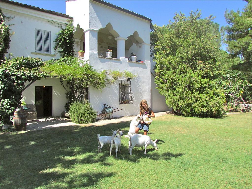 Agriturismo "Borgo Madonna Degli Angeli" - Charming Cottages In The Gardens ! Tocco da Casauria Eksteriør bilde