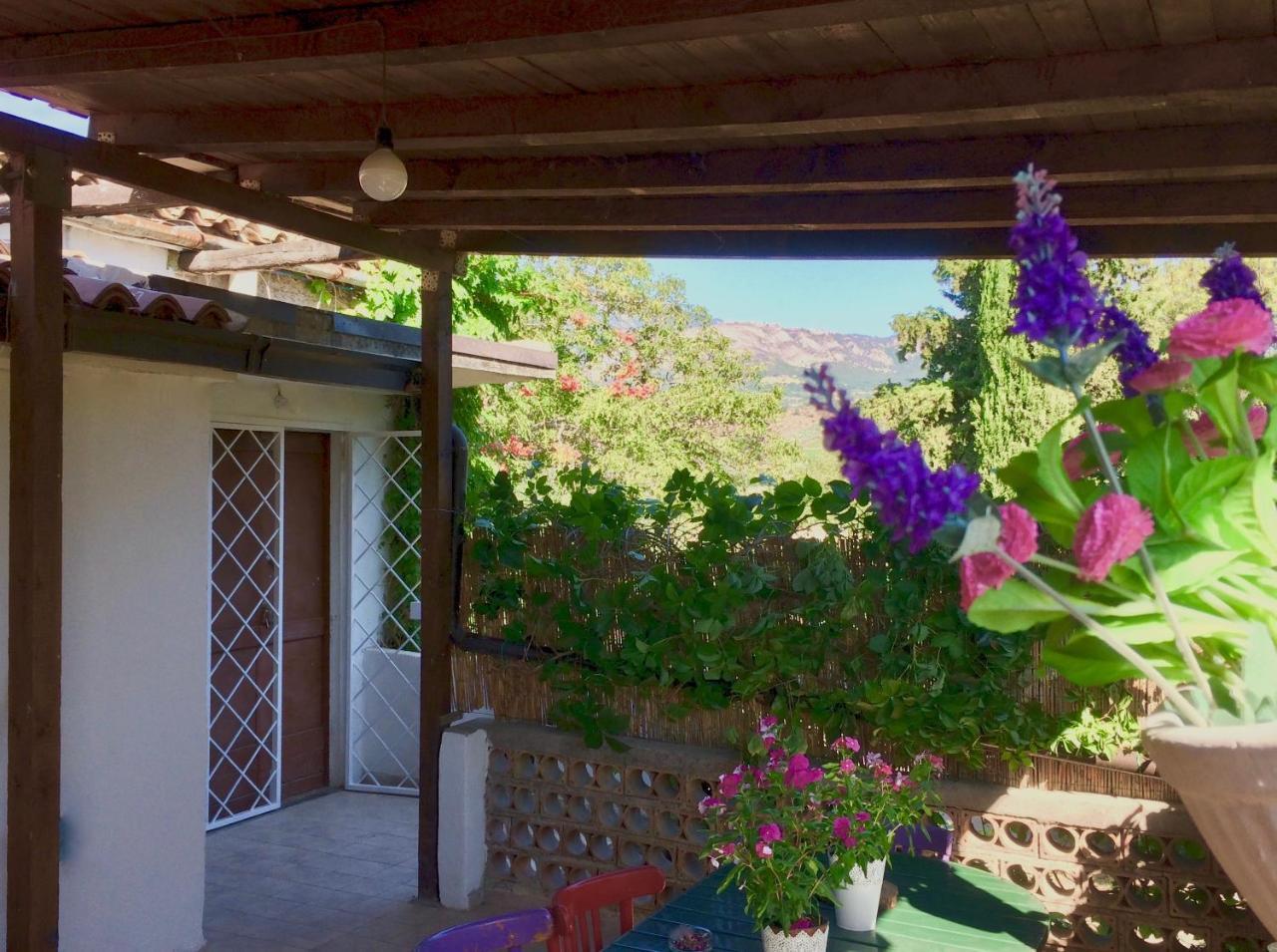 Agriturismo "Borgo Madonna Degli Angeli" - Charming Cottages In The Gardens ! Tocco da Casauria Eksteriør bilde